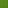 dsgn_1240_green_bg.jpg