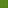 dsgn_1240_green_bg.jpg